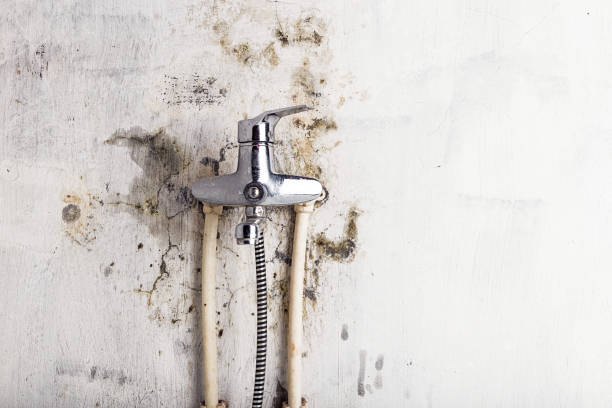 Best Bathroom Mold Remediation in West Haverstraw, NY